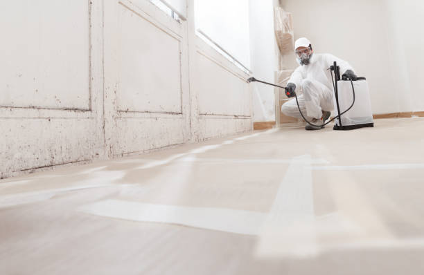 24/7 Emergency Attic Mold Remediation experts in Golf, IL